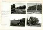 Karta biała, skan nr 13