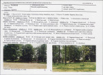 Karta biała, skan nr 5