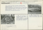 Karta biała, skan nr 9