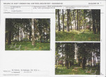 Karta cmentarza, skan nr 5