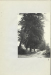 Ewidencja parkowa, skan nr 26
