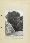 Ewidencja parkowa, skan nr 17