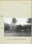 Ewidencja parkowa, skan nr 14
