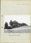 Ewidencja parkowa, skan nr 17