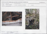 KB - Karta biała, skan nr 15