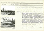 Karta biała, skan nr 16