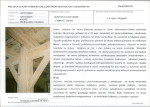 KB - Karta biała, skan nr 9