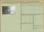 Karta zielona, skan nr 2