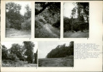 Karta biała, skan nr 20