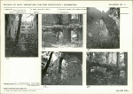 Karta biała, skan nr 11