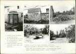 Karta biała, skan nr 10