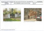 Karta biała, skan nr 11