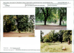 Karta biała, skan nr 38