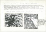 Karta biała, skan nr 6