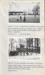 Ewidencja parkowa, skan nr 26