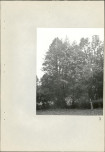 EP - Ewidencja parkowa, skan nr 23