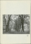 Ewidencja parkowa, skan nr 39
