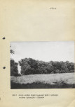 Ewidencja parkowa, skan nr 22