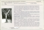 Karta biała, skan nr 5
