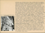 KB - Karta biała, skan nr 12