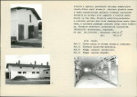 Karta biała, skan nr 16