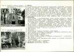 Karta biała, skan nr 10