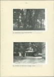 EP - Ewidencja parkowa, skan nr 26