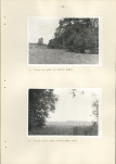 Ewidencja parkowa, skan nr 24