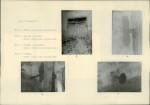 KB - Karta biała, skan nr 12