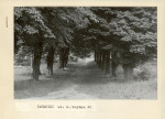 Ewidencja parkowa, skan nr 2