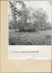 Ewidencja parkowa, skan nr 23
