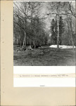 Ewidencja parkowa, skan nr 27