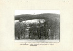 EP - Ewidencja parkowa, skan nr 34