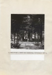 Ewidencja parkowa, skan nr 26