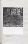 Ewidencja parkowa, skan nr 24