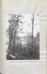 Ewidencja parkowa, skan nr 19