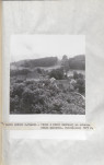 Ewidencja parkowa, skan nr 40