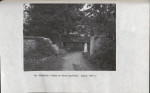 Ewidencja parkowa, skan nr 29
