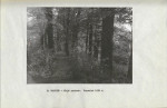 Ewidencja parkowa, skan nr 24
