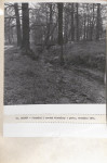 Ewidencja parkowa, skan nr 37