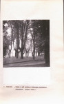 Ewidencja parkowa, skan nr 24