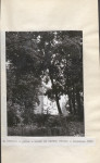 Ewidencja parkowa, skan nr 22