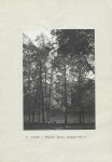 Ewidencja parkowa, skan nr 22