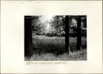 Ewidencja parkowa, skan nr 26