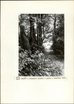Ewidencja parkowa, skan nr 23