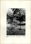 Ewidencja parkowa, skan nr 17
