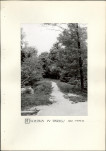 Ewidencja parkowa, skan nr 20