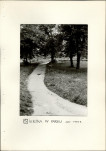 Ewidencja parkowa, skan nr 21