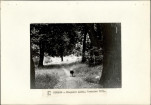 Ewidencja parkowa, skan nr 24