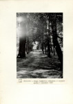 Ewidencja parkowa, skan nr 22